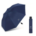 Auto Open Close Umbrella Blue