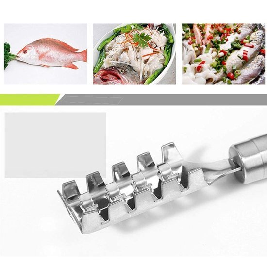 Fish Scale Remover Scraper